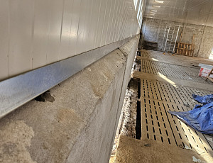 Rekonstrukce haly na farmě chovu prasat